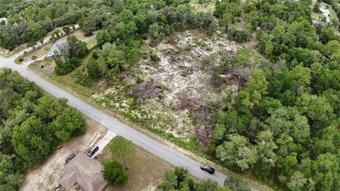 Tiny photo for Xx SW Begonia Court, Dunnellon, FL 34431 (MLS # O6417571)