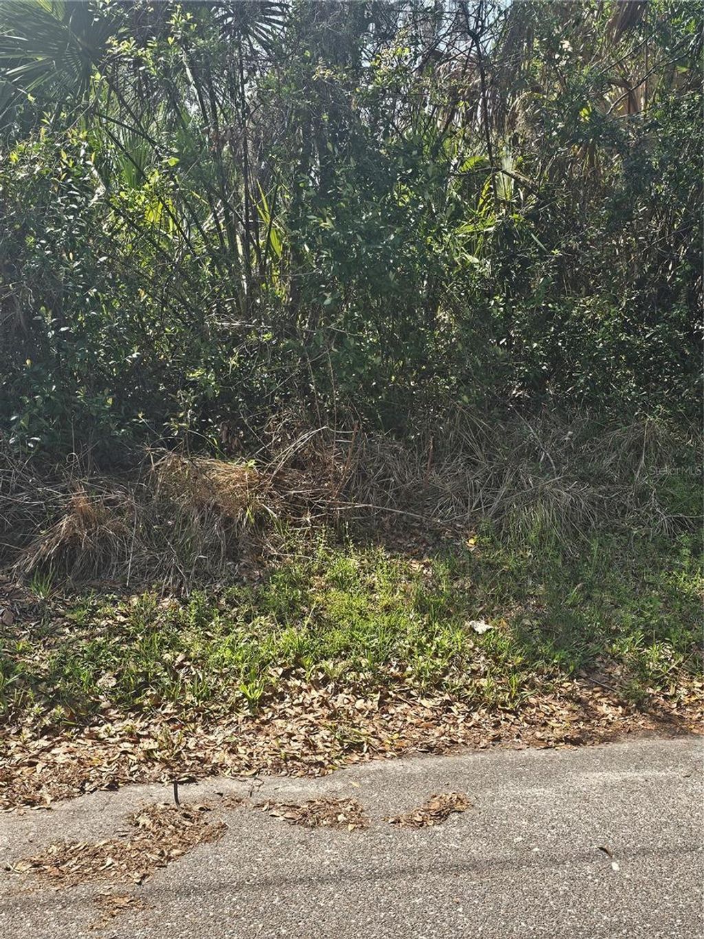 Photo of Tbd Unassigned, Lake City, FL 32024 (MLS # TB8487231)