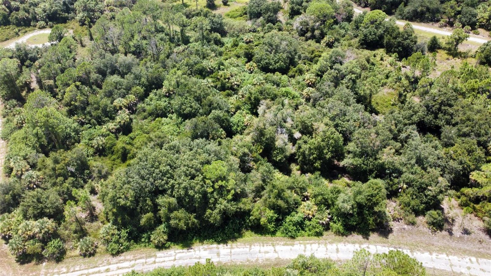 N HOLLOWAY AVENUE