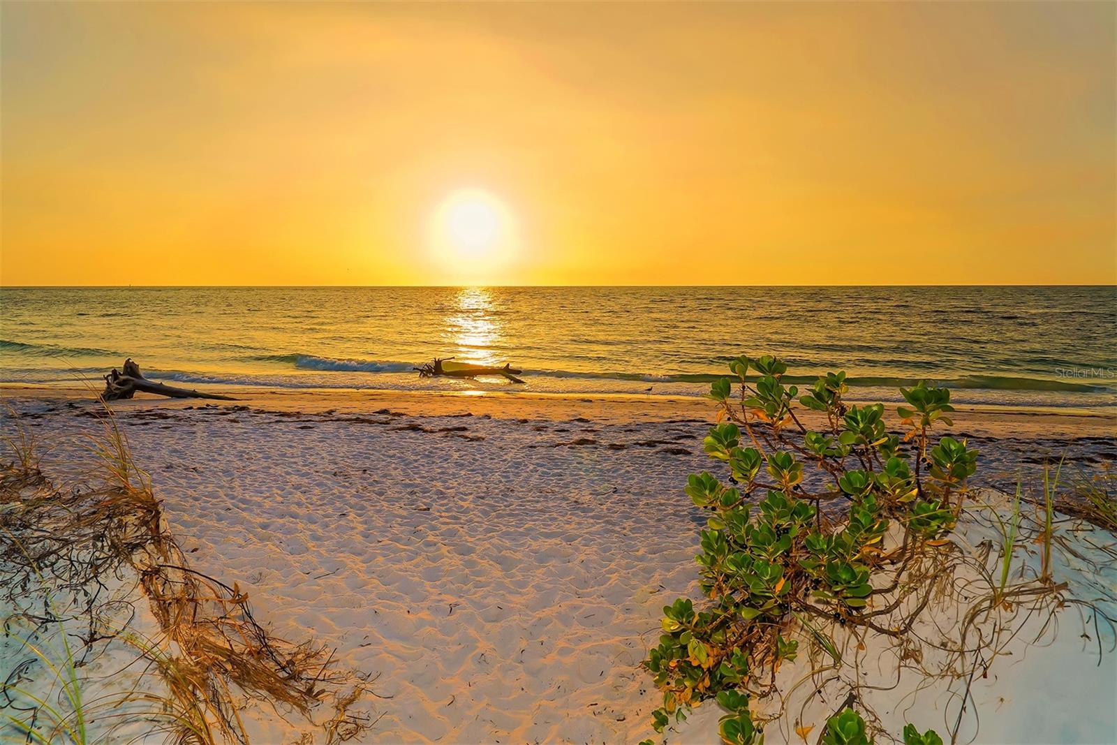 LIDO SHORES - Residential