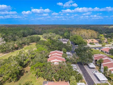 A home in PALM HARBOR