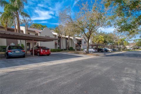 A home in PALM HARBOR