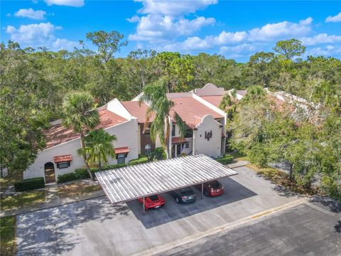 A home in PALM HARBOR