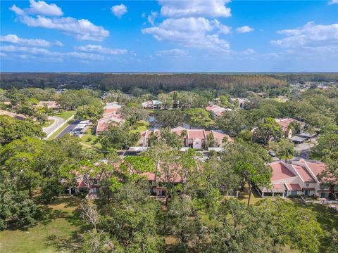 A home in PALM HARBOR