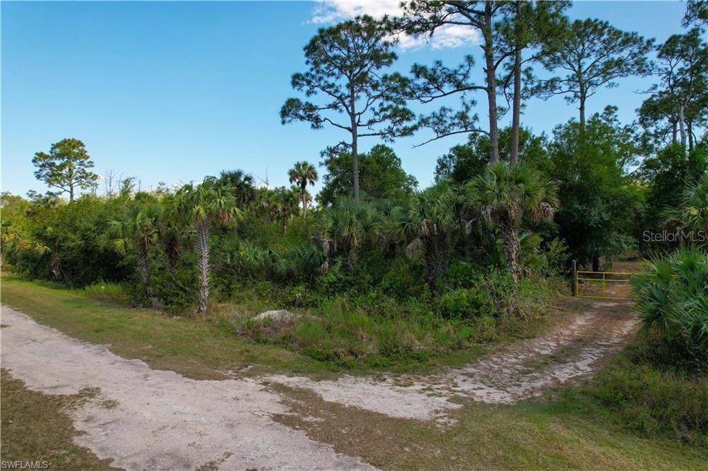 Photo of 4180 36th Avenue SE, Naples, FL 34117 (MLS # TB8477454)