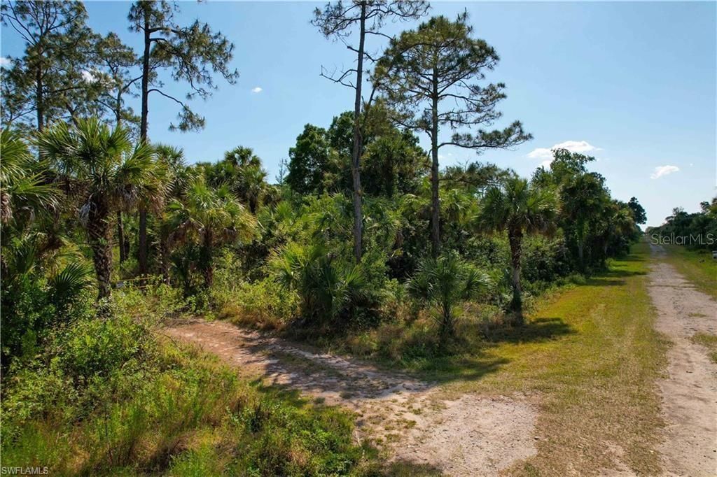 Photo of 4180 36th Avenue SE, Naples, FL 34117 (MLS # TB8477454)