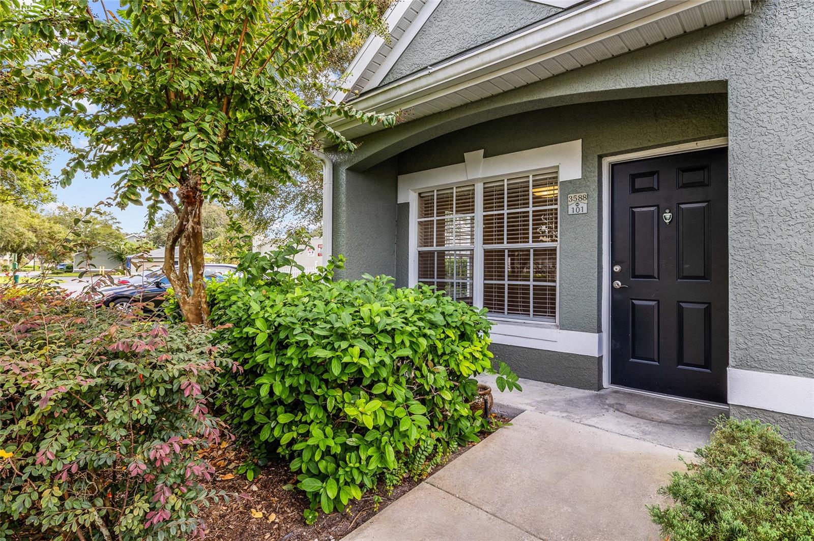 WATERFORD AT PALM HARBOR LUXURY CONDO - Residential