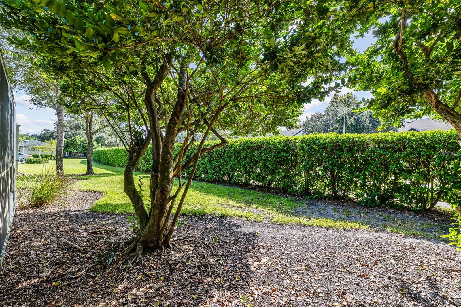 WATERFORD AT PALM HARBOR LUXURY CONDO - Residential