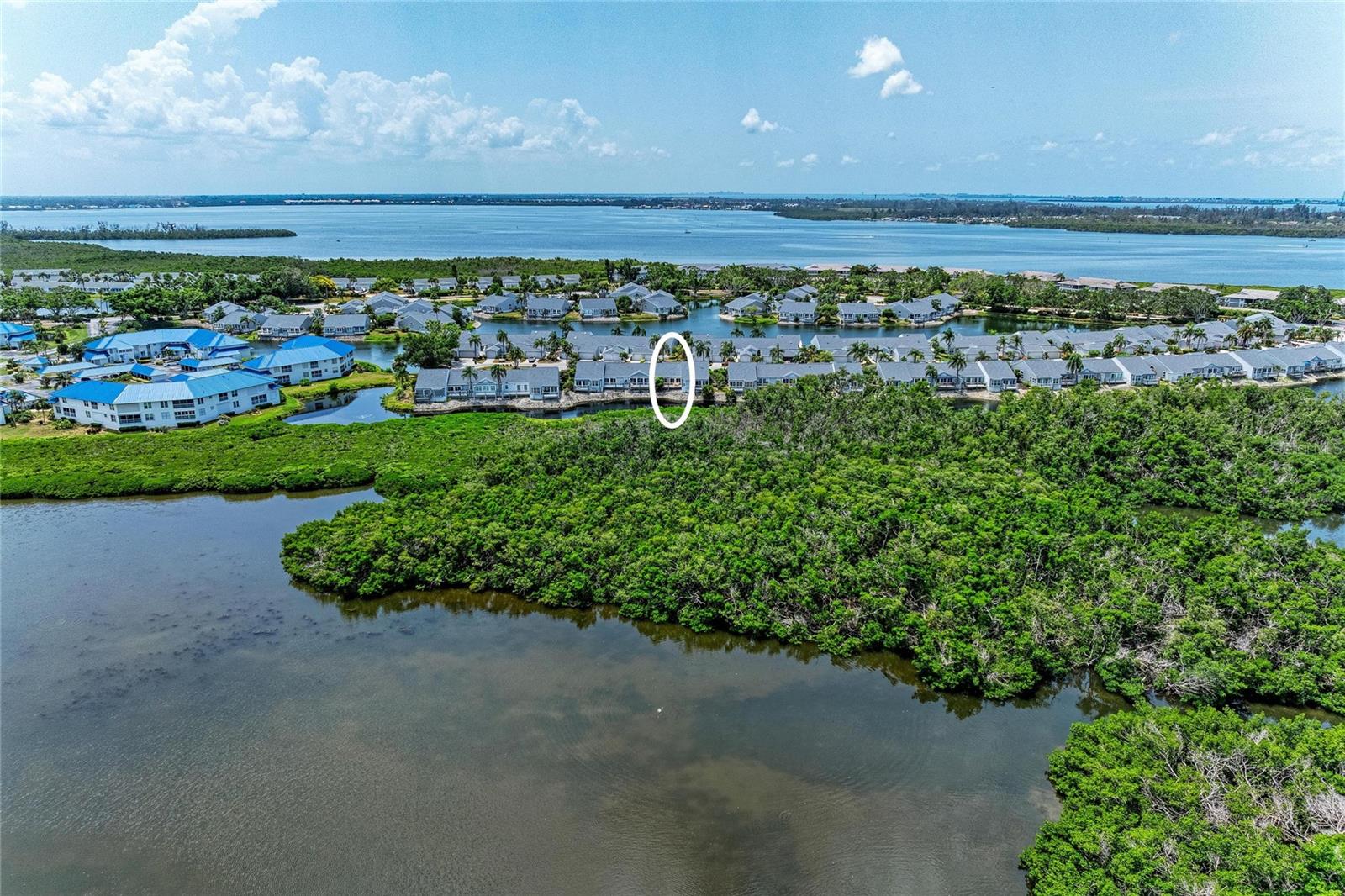 1218 SPOONBILL LANDINGS CIR