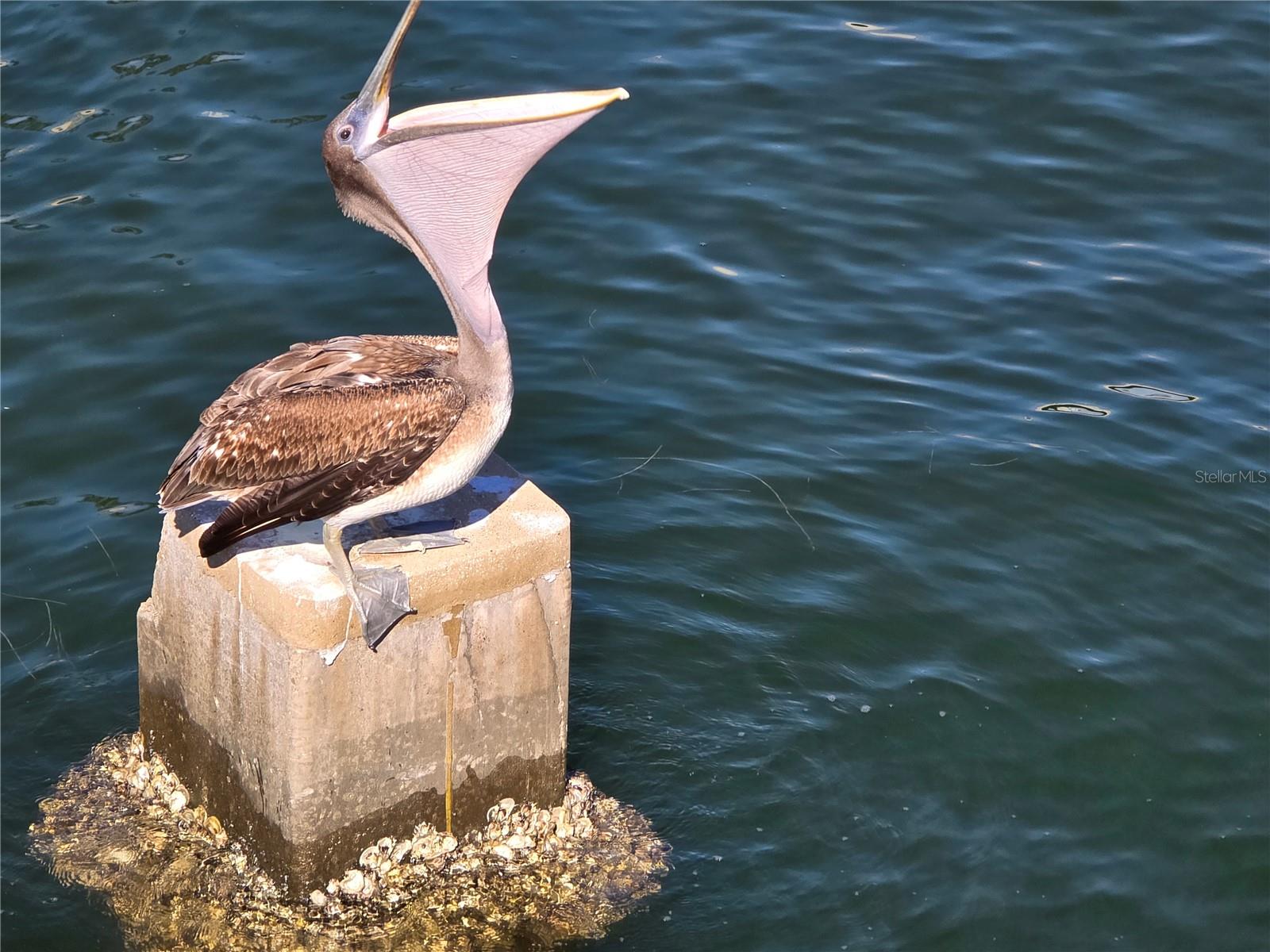 LAKEWOOD TERRACE - Residential