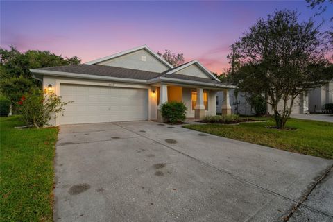 6809 BLUFF MEADOW COURT WESLEY CHAPEL FL 33545