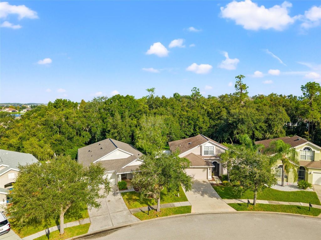 Photo of 6809 Bluff Meadow Court, Wesley Chapel, FL 33545 (MLS # TB8436169)
