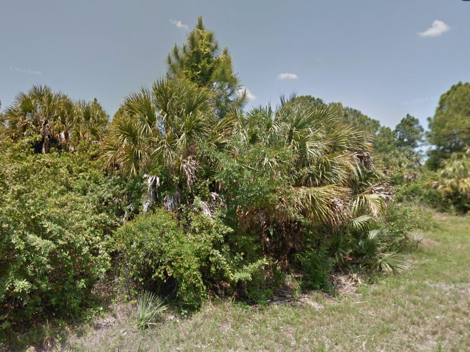 Build Your Dream Home with Peace and Privacy!
Discover the perfect spot to create your dream home on this beautiful lot in North Port. Backing up to a greenbelt and canal, this property offers the ultimate privacy and a serene natural backdrop—ideal for enjoying the Florida lifestyle to the fullest.
With NO HOA, NO CDD, and NO deed restrictions, you have the freedom to design and build exactly what you want, without extra rules or fees. Whether you’re dreaming of a cozy retreat or a spacious Florida oasis, this lot is ready to make your vision a reality.