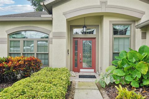 A home in VALRICO