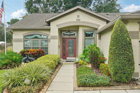 A home in VALRICO