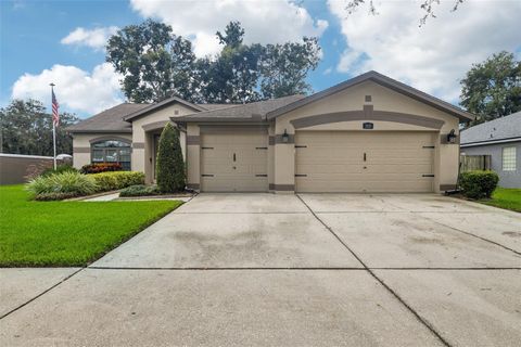 A home in VALRICO