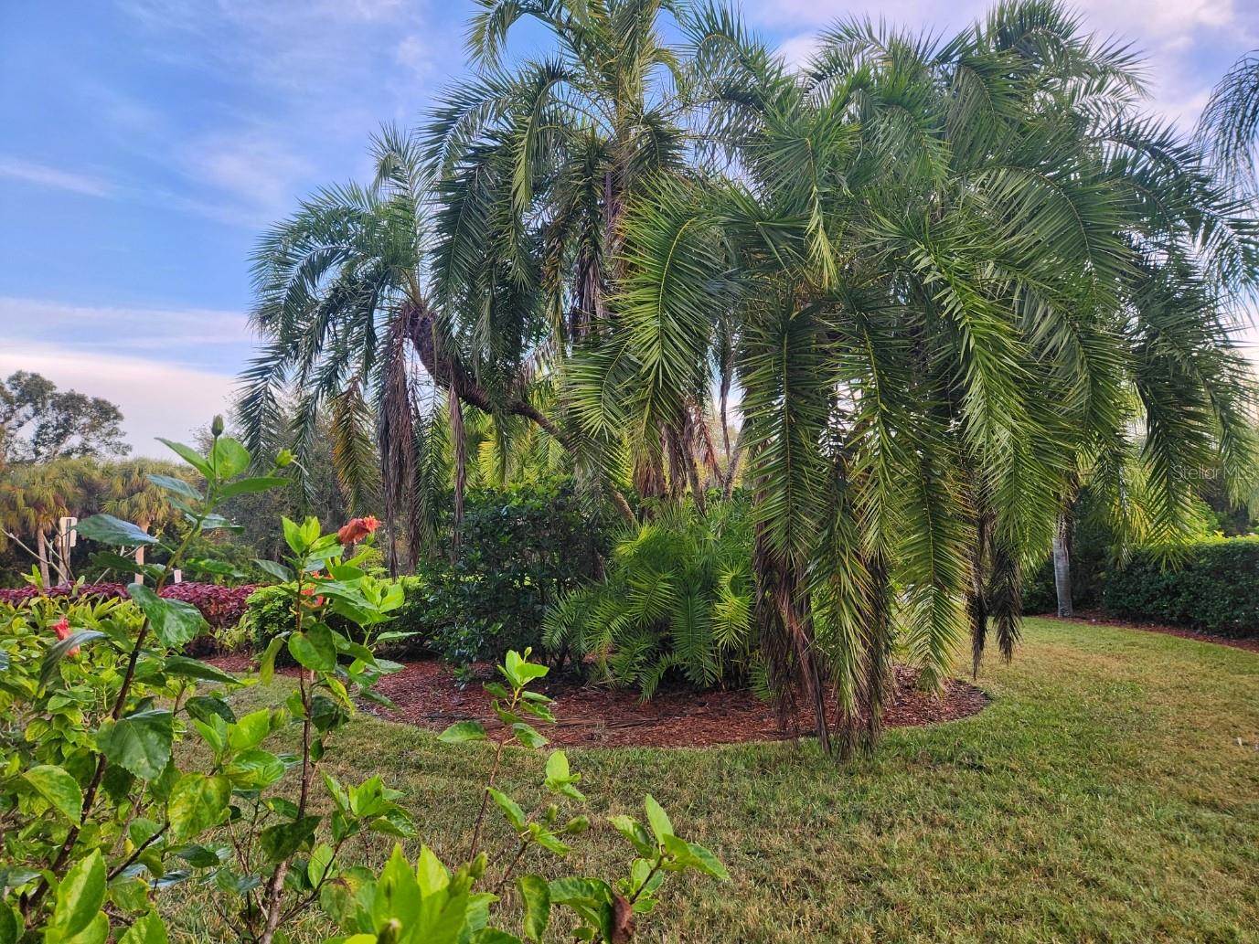 CASA DI AMICI - Residential Lease