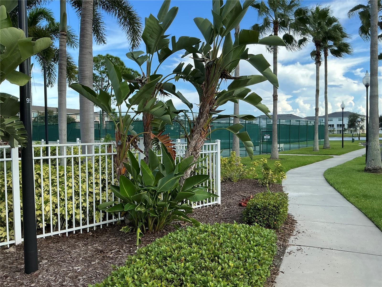 SEMINOLE ISLE - Residential Lease