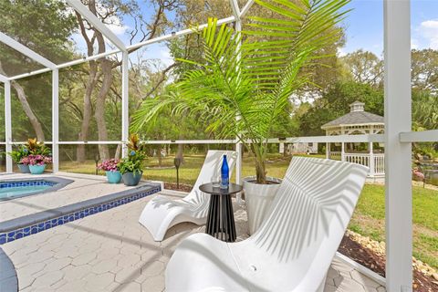 Tiny photo for 161 W Chase Street, Hernando, FL 34442 (MLS # TB8493404)