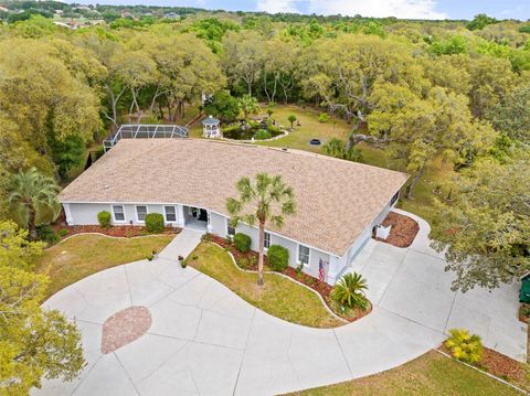Tiny photo for 161 W Chase Street, Hernando, FL 34442 (MLS # TB8493404)