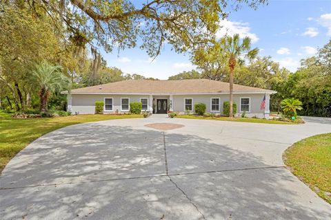 Photo of 161 W Chase Street, Hernando, FL 34442 (MLS # TB8493404)