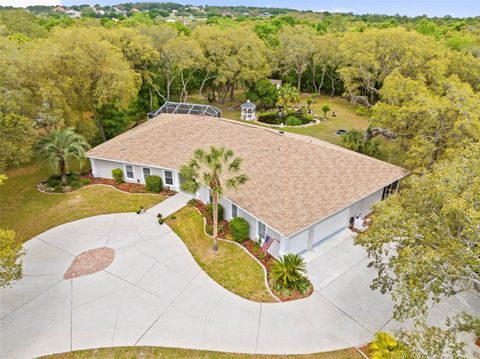 Tiny photo for 161 W Chase Street, Hernando, FL 34442 (MLS # TB8493404)