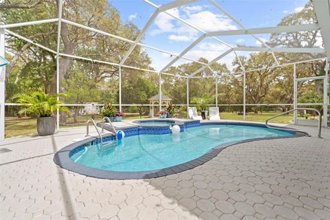 Tiny photo for 161 W Chase Street, Hernando, FL 34442 (MLS # TB8493404)