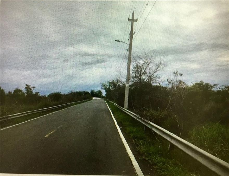 The subject is of almost rectangular shaped with mostly level topography.  It lies 66% within the minimal flood zone (1% chance), Zone A, while 34% within the minimal  flood zone.  The parcel has an agricultura zoning classification, which allows a variety of agricultural uses.