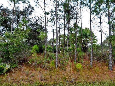 LOFFREDA LOT #8 AVENUE NORTH PORT FL 34291