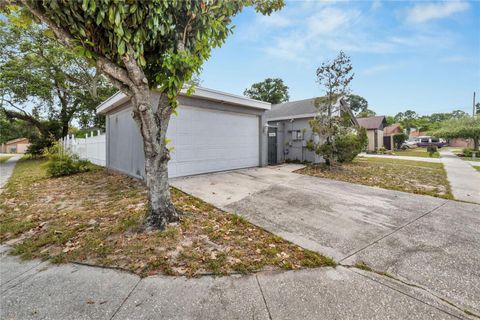 A home in TAMPA