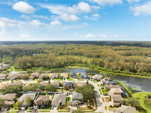 A home in LAND O LAKES