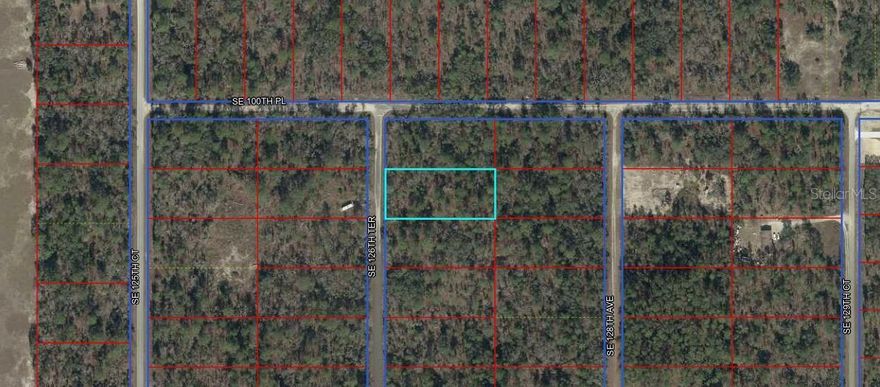 Looking for country life style but yet within 30 minutes from town? This is your chance!! This vacant lot count with 1 acre, on paved road, electricity near by, on a high and dry location. Bring your toys and start building your dream home in the beautiful community of Rainbow Lakes Estates.  At just 41 minutes away from the new World Equestrian Center, this community provides the best options for nature lovers seeking to regain peace away from busy cities.