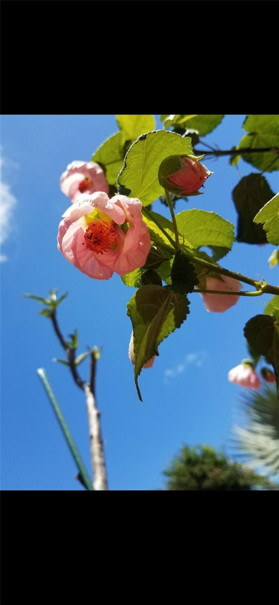 LAKESIDE PLANTATION REP 03 - Residential