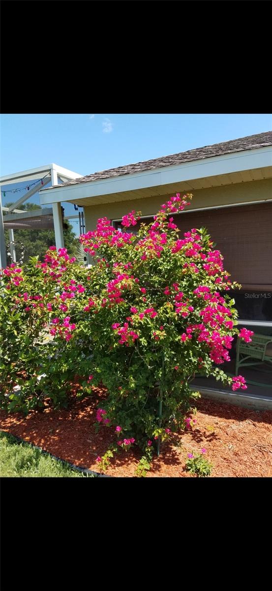 LAKESIDE PLANTATION REP 03 - Residential