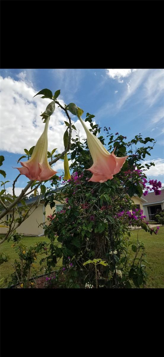 LAKESIDE PLANTATION REP 03 - Residential