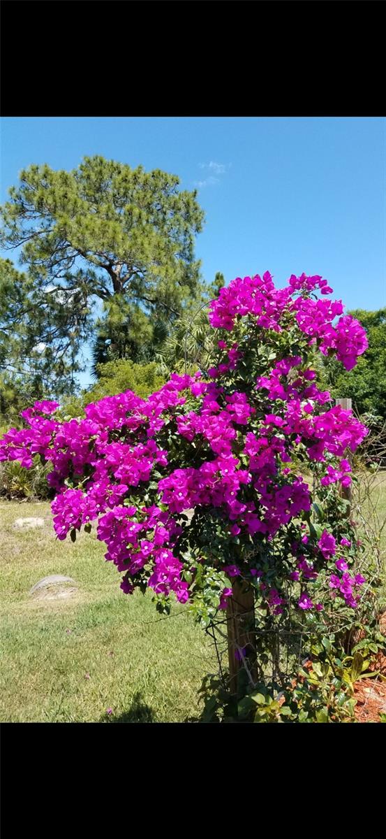 LAKESIDE PLANTATION REP 03 - Residential