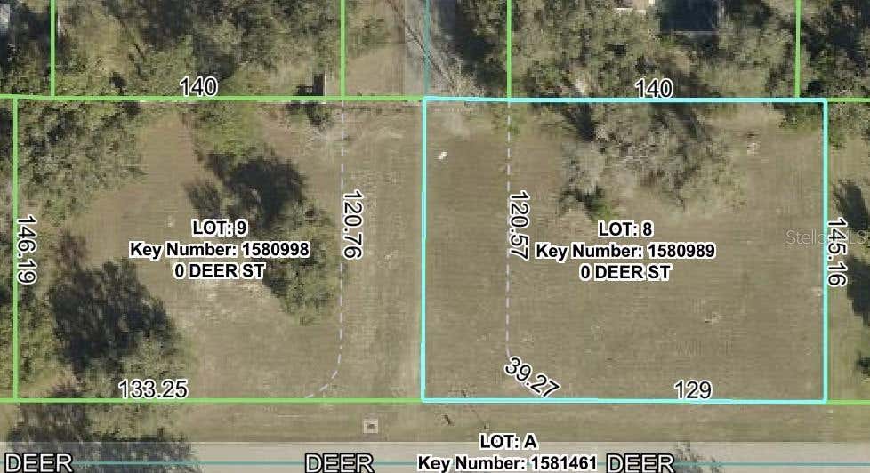 Photo of 8 Deer Street, Spring Hill, FL 34608 (MLS # O6434431)