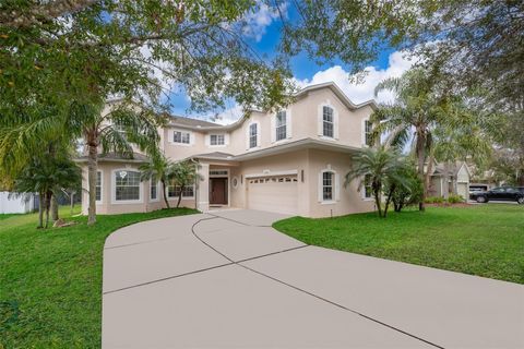 A home in MOUNT DORA