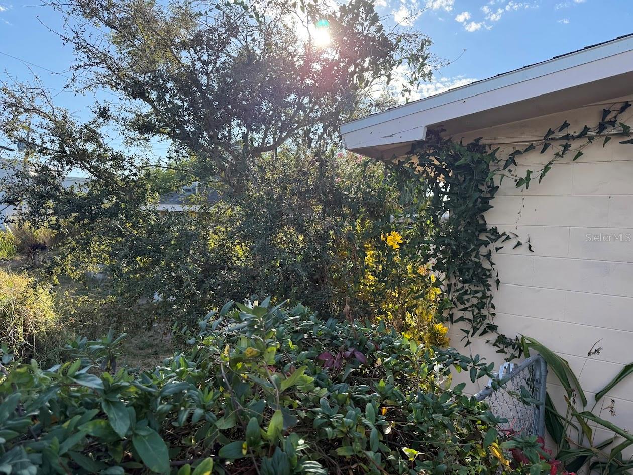 BELLS SUB REV - Residential