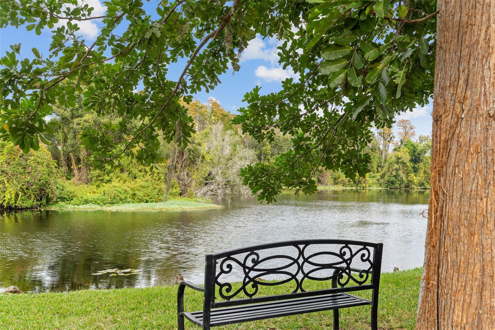 RAVINIA PH 2 - Residential Lease