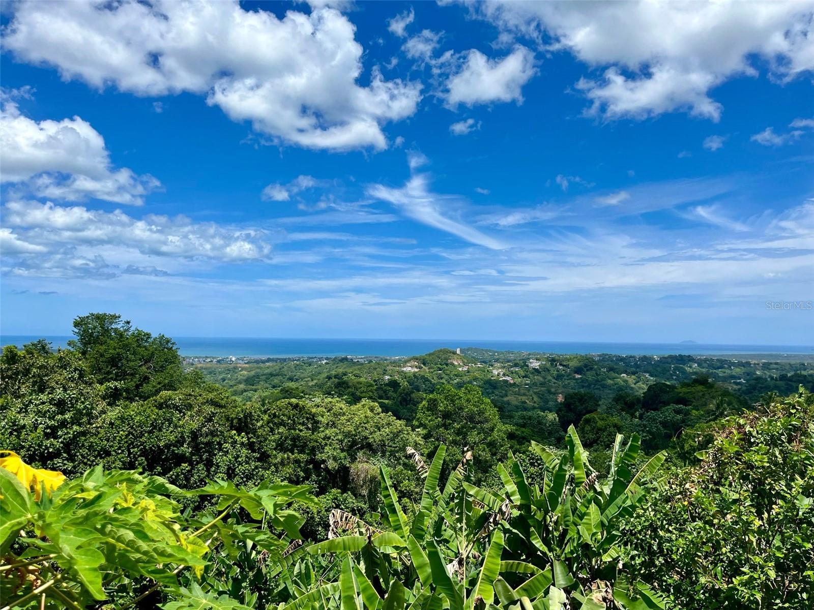Over 10 Acres of Scenic Land in Mayagüez with Ocean Views and Off-Grid Setup
Located in Bo. Quemado along PR-3351 in Mayagüez, Puerto Rico, this exceptional property offers a rare opportunity to own over 10 acres of rolling terrain with panoramic ocean and mountain views. With a total area of approximately 43,234 square meters (over 10.6 acres), this parcel is the perfect canvas for those looking to create a private retreat, luxury estate, eco-resort, or income-producing rental project in one of the island’s most naturally beautiful settings.
The property’s elevated terrain provides stunning views of the coastline and the lush surrounding hills, creating an atmosphere of tranquility, seclusion, and inspiration. Despite its peaceful rural setting, it remains conveniently accessible via PR-2, with shopping, restaurants, and daily essentials just minutes away in the heart of Mayagüez.
What makes this property truly unique is its existing off-grid infrastructure, which allows for immediate use while planning and developing your long-term vision. Included in the sale are two campers: a 2021 Rockwood Mini Lite 250, which is move-in ready, and a 2007 Forest River Surveyor 25, which requires some repair. These provide comfortable temporary accommodations for weekend stays, retreats, or an onsite project base as you build.
The property also features a fully installed off-grid solar system designed for reliable and sustainable living. The setup includes a 3KW inverter, six 450W solar panels, and three 250AH, 12V AGM batteries, enabling a level of independence and eco-conscious living that is highly valued by today’s buyers and developers.
Key Highlights of the Property:
Elevated terrain offering sweeping ocean and mountain views that enhance any development project
Move-in ready 2021 camper for immediate use and an additional camper for renovation or parts
Off-grid solar system in place to support sustainable living or temporary stays
Flexible zoning possibilities, ideal for a custom home, boutique Airbnb retreat, or eco-development
Quiet rural environment with easy access to PR-2, Mayagüez town center, supermarkets, shops, and restaurants
This property’s combination of elevation, natural beauty, and existing infrastructure makes it stand out in the current market. The rolling landscape offers numerous potential building sites, whether your vision includes a private estate nestled among the trees, a collection of short-term rental cabins for visitors seeking a peaceful escape, or an eco-resort that blends luxury with sustainability.
Investors and developers will appreciate the versatility of the land, the strong demand for unique stays in western Puerto Rico, and the long-term value offered by large, scenic parcels near urban hubs. For buyers seeking a personal sanctuary, this property offers the freedom to design and build a life connected with nature, surrounded by breathtaking views and fresh mountain breezes.
Opportunities like this are rare in Mayagüez’s growing market. Secure your piece of paradise today and bring your vision to life on this extraordinary land. Contact us for more details or to schedule a private tour of this unique property in the scenic mountains of Mayagüez.