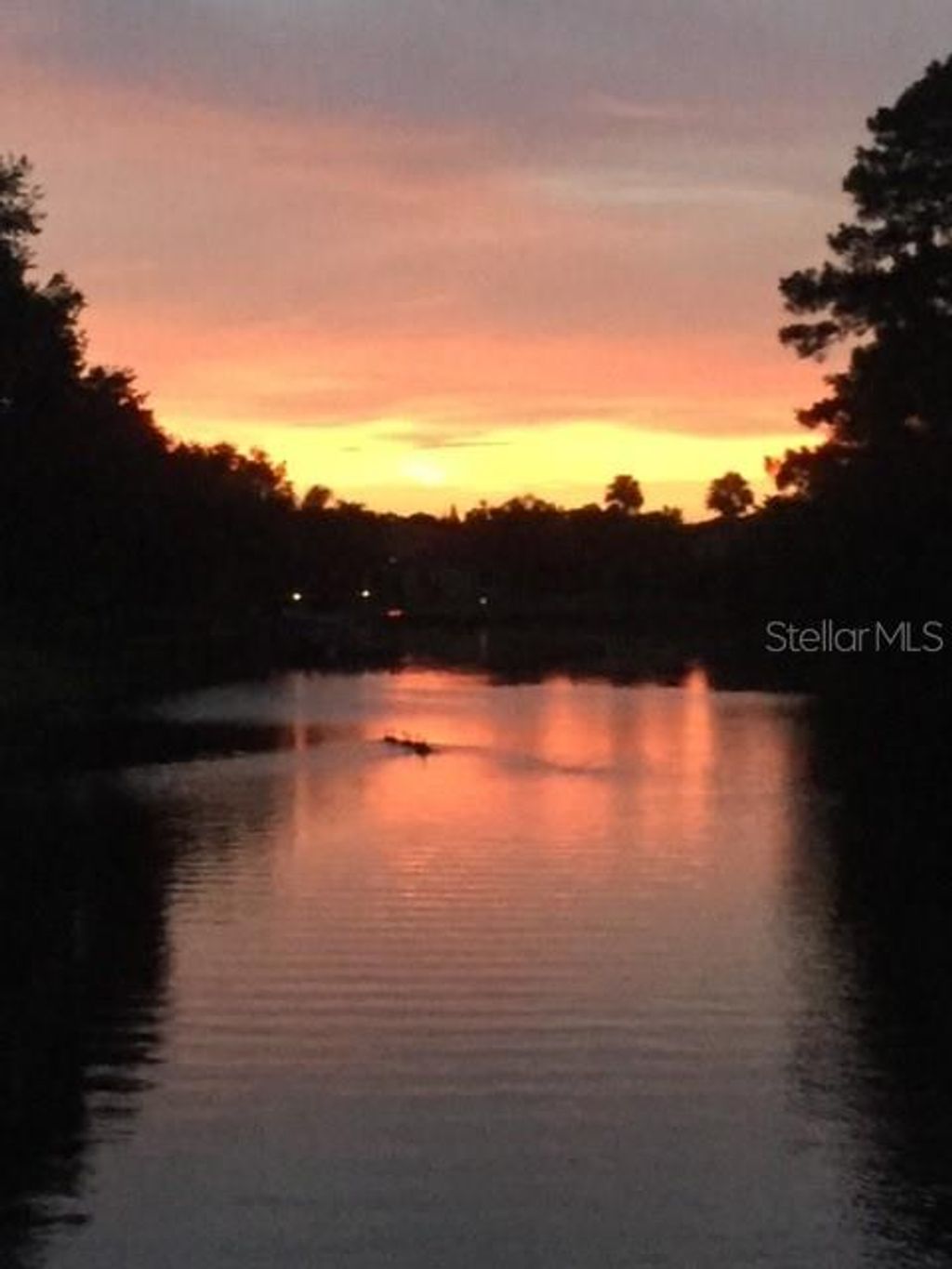 Photo of 18022 Cozumel Isle Drive, Tampa, FL 33647 (MLS # TB8388208)