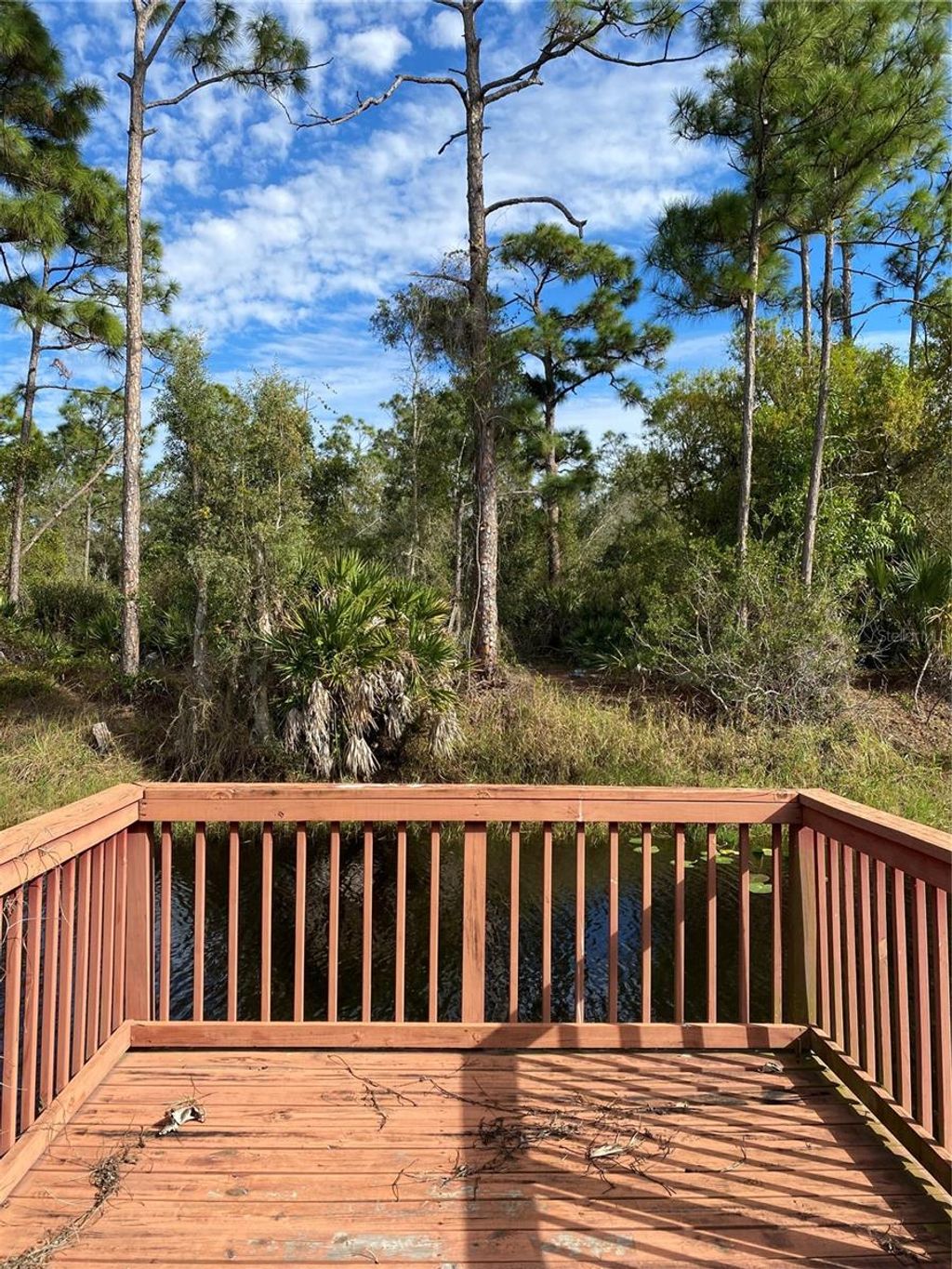 Photo of 11176 Grapefruit Lane, Punta Gorda, FL 33955 (MLS # C7519629)