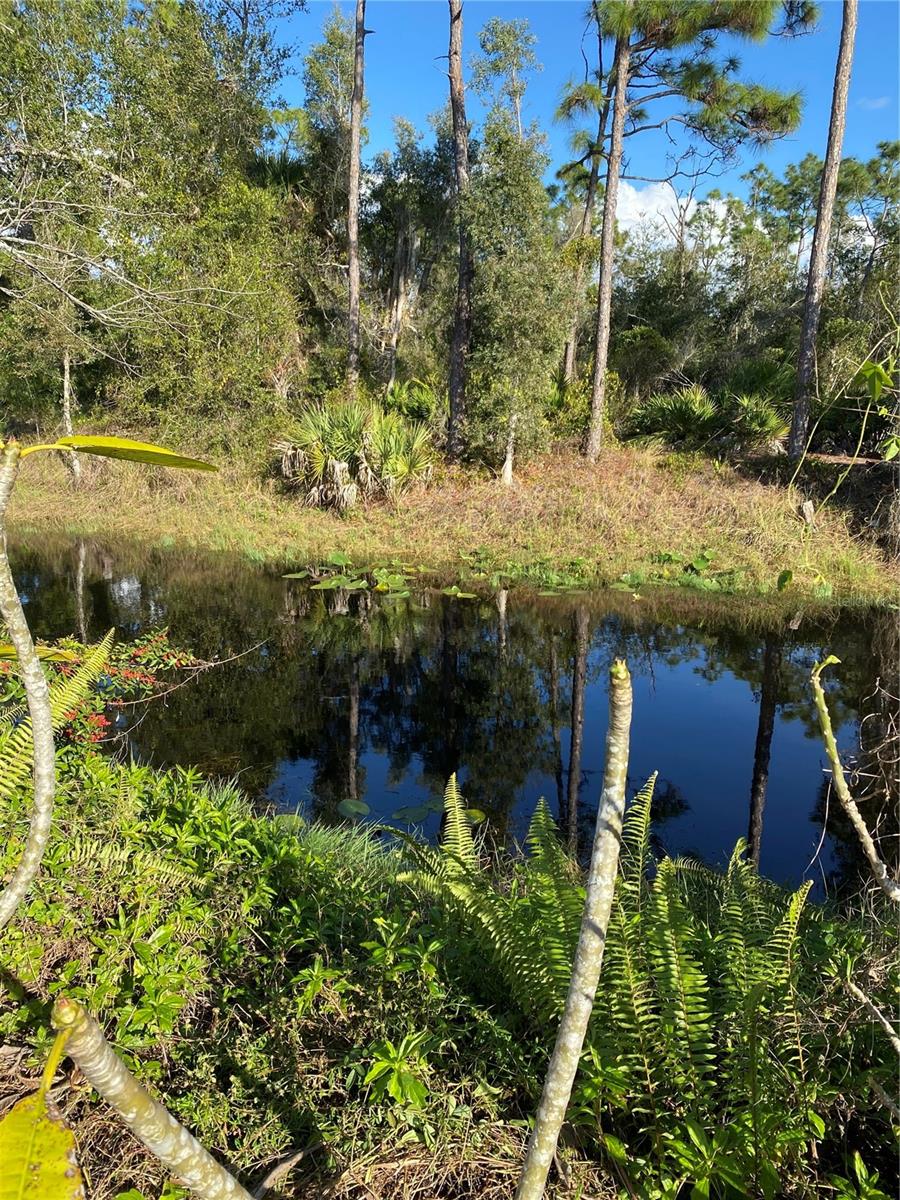 S P G HEIGHTS 8TH ADD - Residential