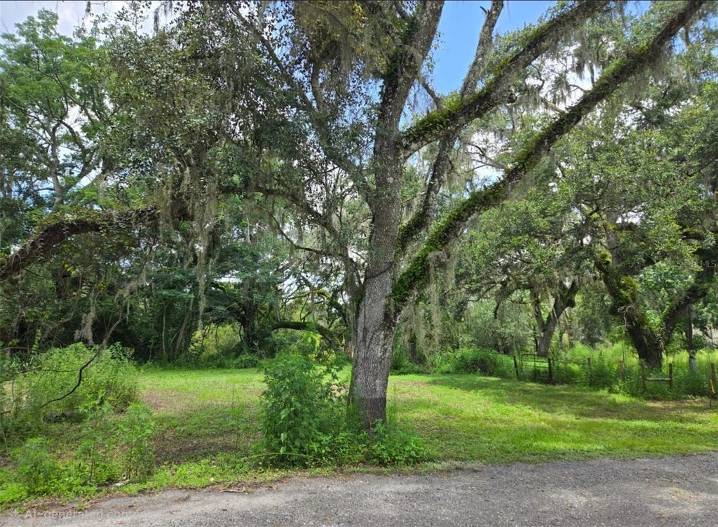 Photo of 0 Dublin Road, Ridge Manor, FL 33523 (MLS # O6362027)