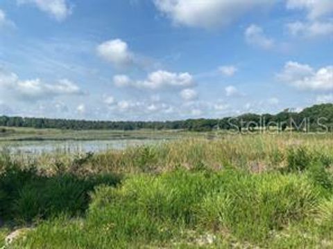 COUNTY ROAD 48 YALAHA FL 34797