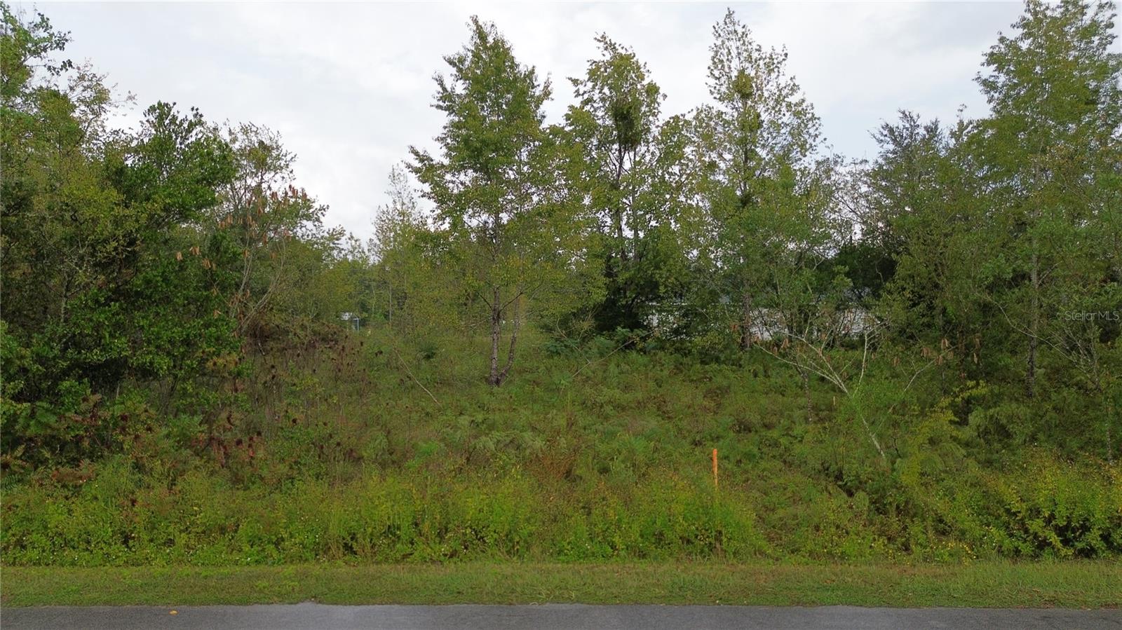 OCALA RDG UN 06 - Land