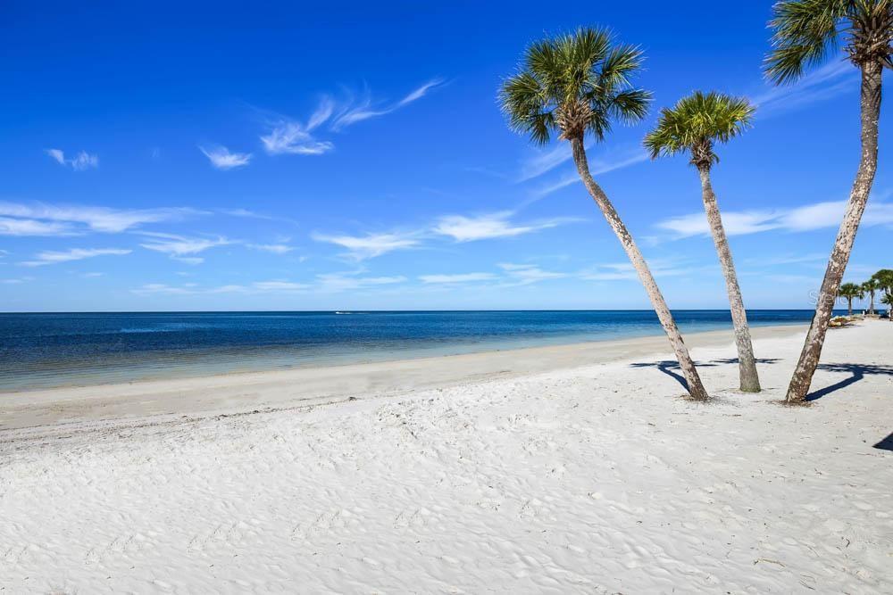 SEA FOREST BEACH CLUB TWNHMS - Residential