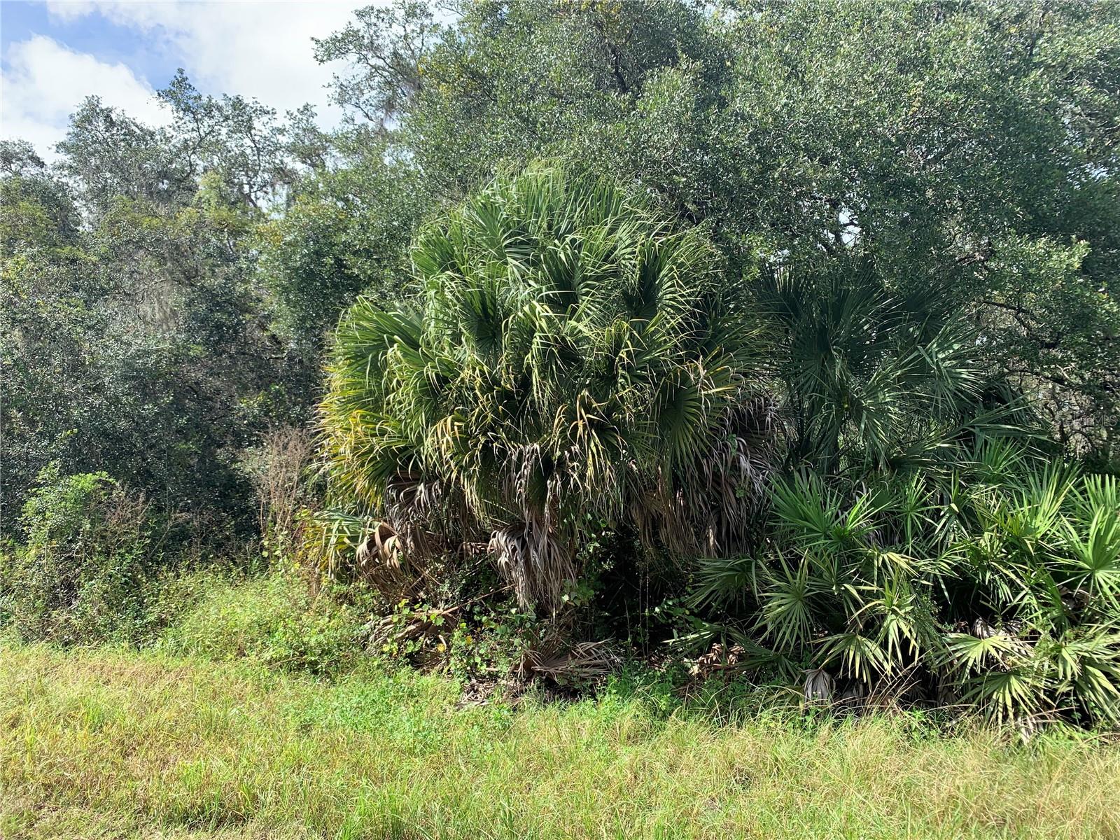 PORT CHARLOTTE SEC 057 - Land