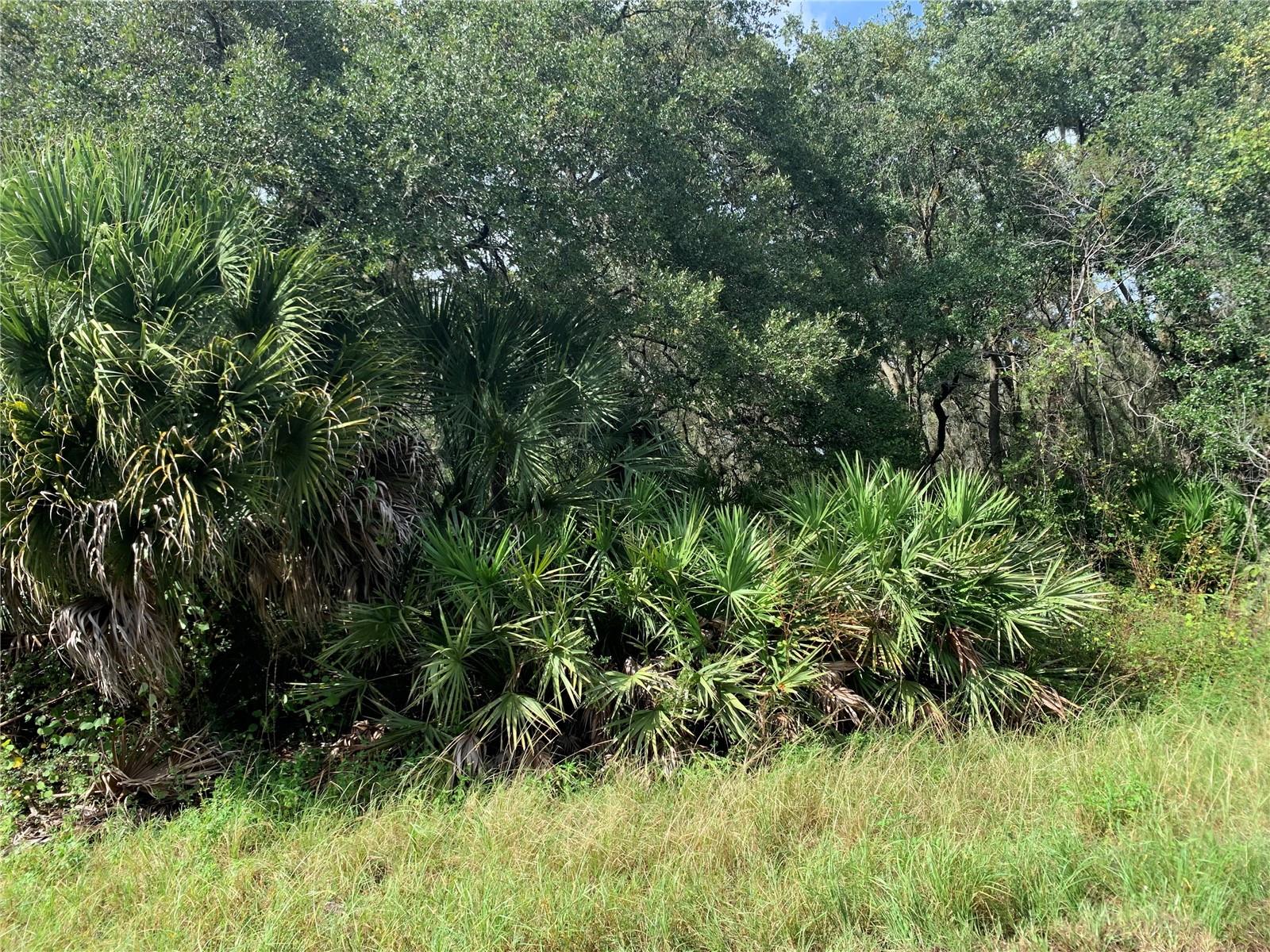 PORT CHARLOTTE SEC 057 - Land